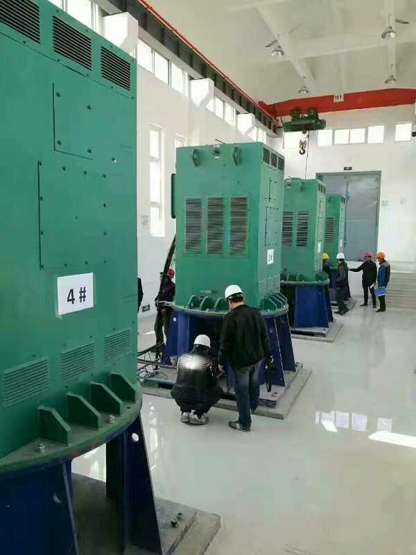 零陵某污水处理厂使用我厂的立式高压电机安装现场