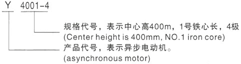西安泰富西玛Y系列(H355-1000)高压零陵三相异步电机型号说明